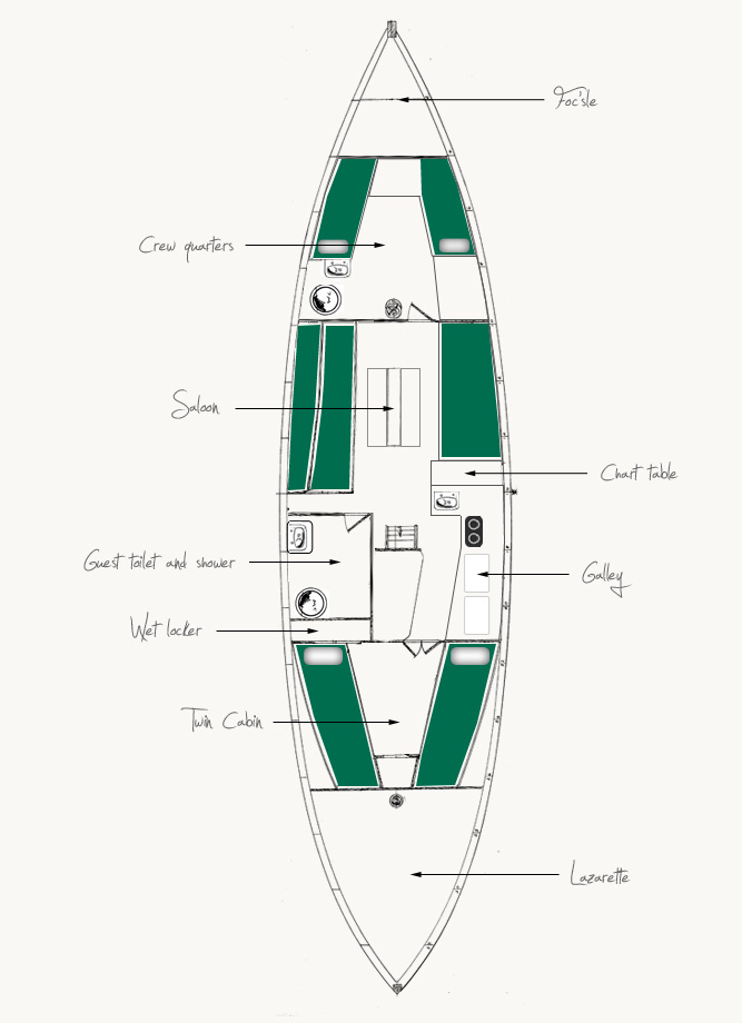 Maybird Specifications
